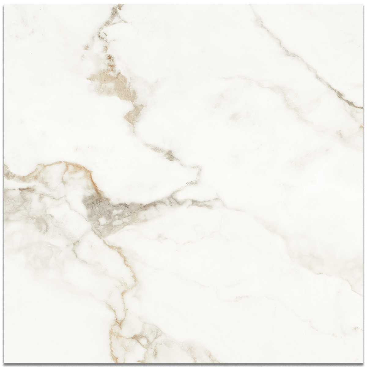 Venetian Calacatta Matte Marble Effect 60x30cm Tiles | StoneSuperstore